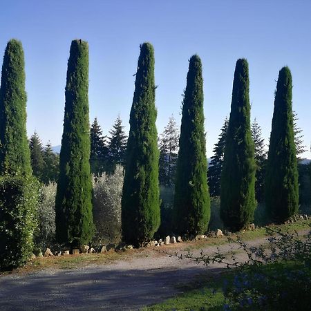 Vetriano Casa Marconiヴィラ エクステリア 写真