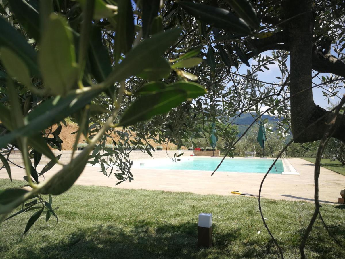 Vetriano Casa Marconiヴィラ エクステリア 写真
