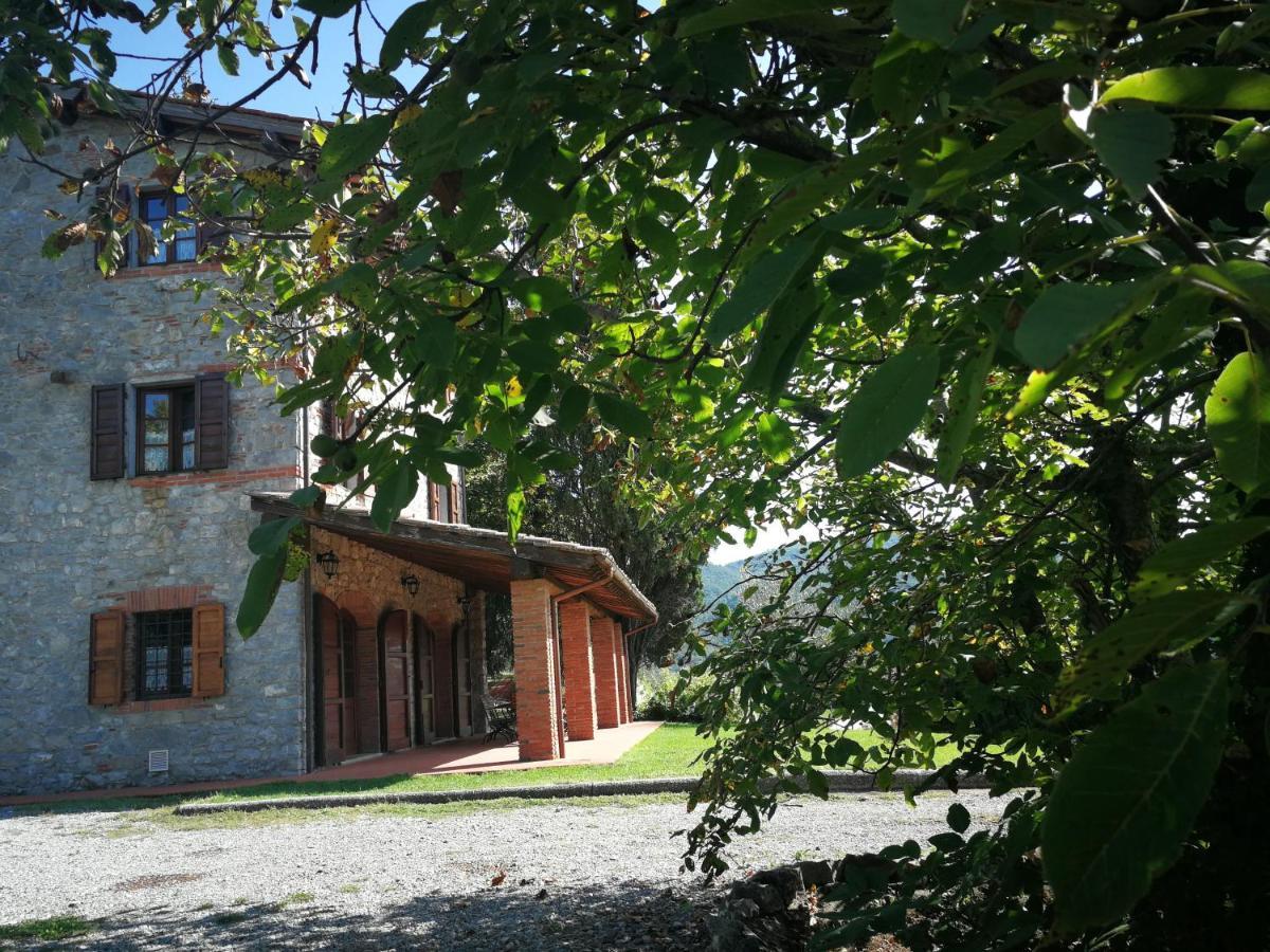 Vetriano Casa Marconiヴィラ エクステリア 写真