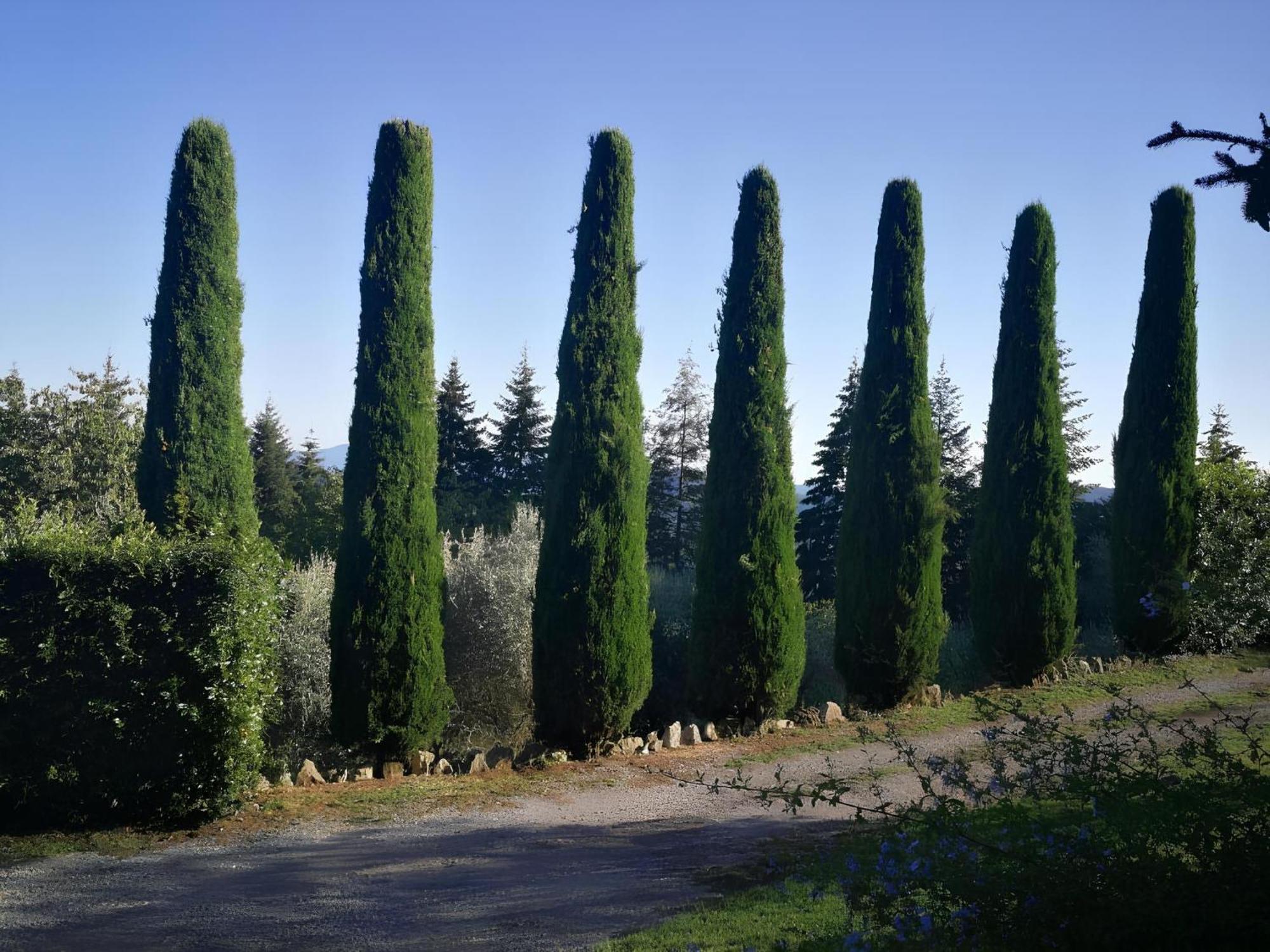 Vetriano Casa Marconiヴィラ エクステリア 写真
